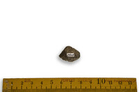 F 03606
<br/>
<br/>
<em></em>